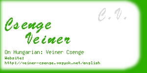 csenge veiner business card